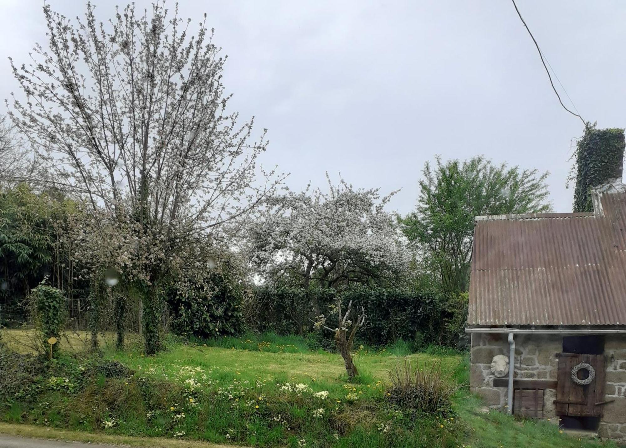 Wildberry Cottage Orgères-la-Roche 外观 照片