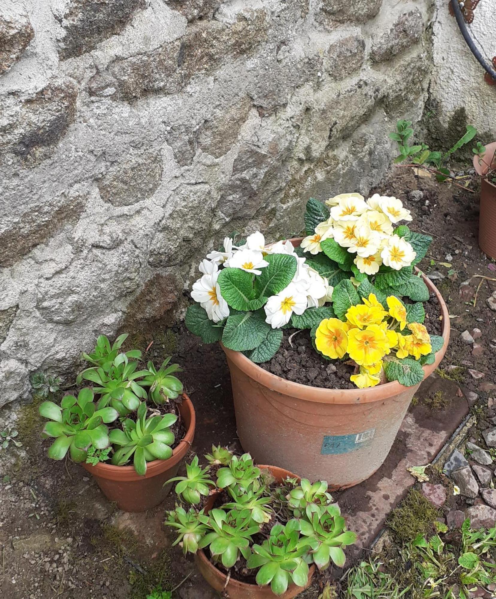 Wildberry Cottage Orgères-la-Roche 外观 照片